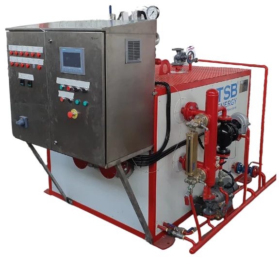 Elektrischer Dampfkessel - 3