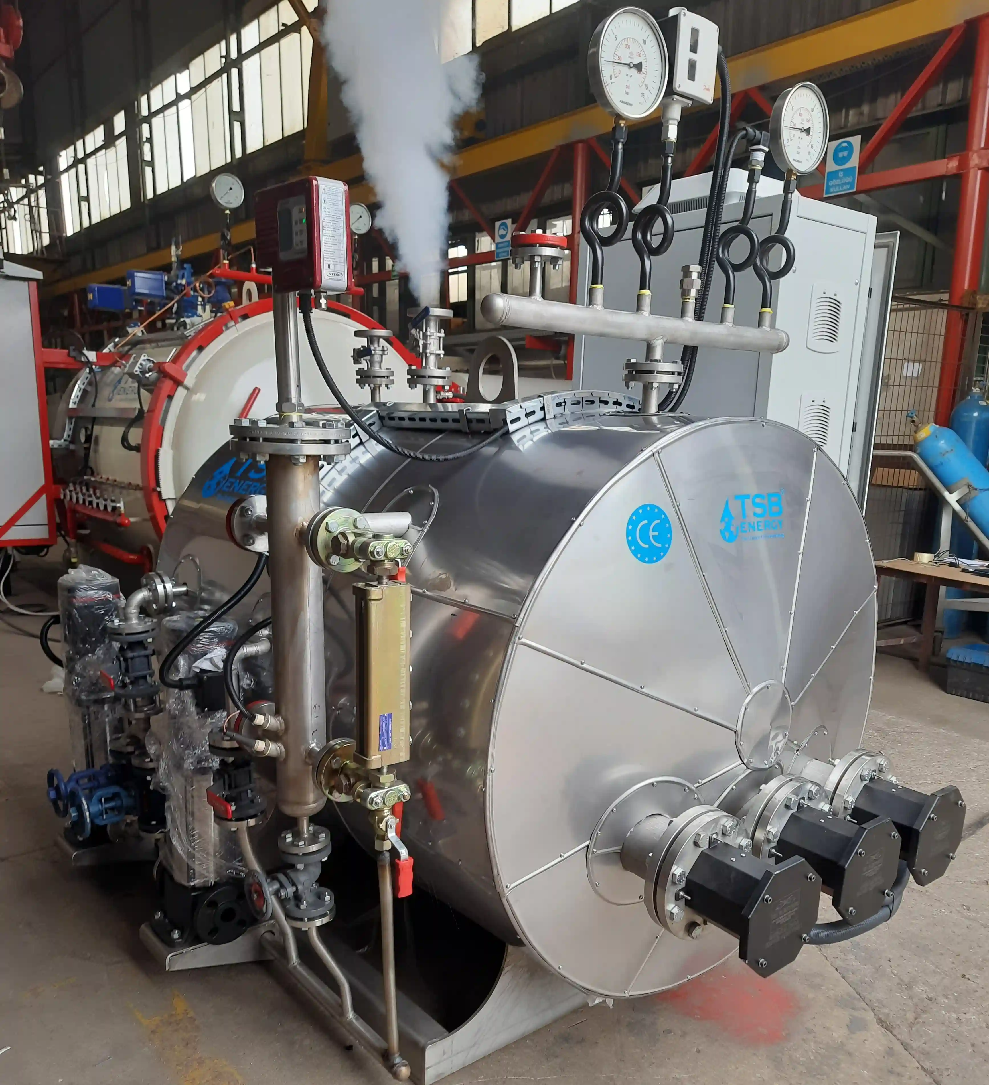 Elektrischer Hygienedampfkessel	