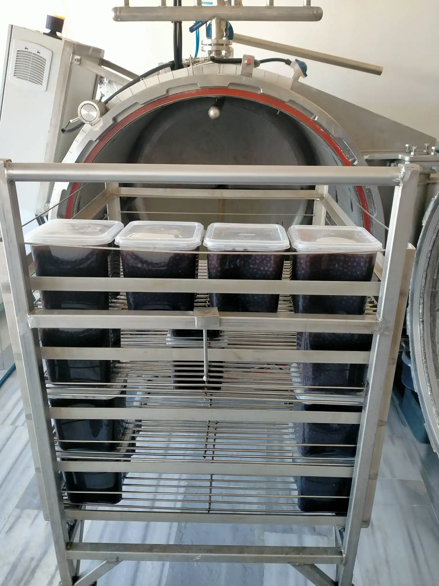 Sterilizasyon Otoklavı