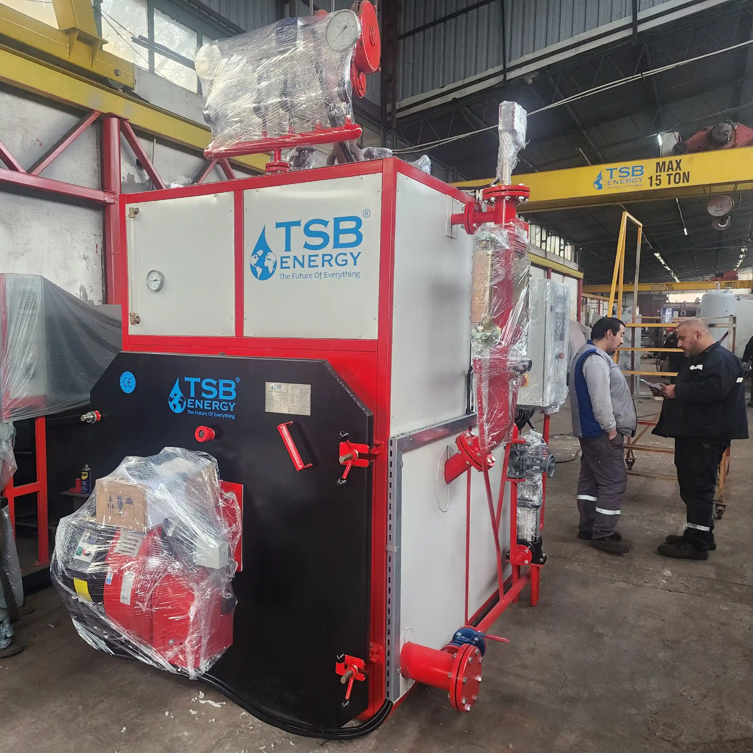 Smoke Tube Steam Generator - 10