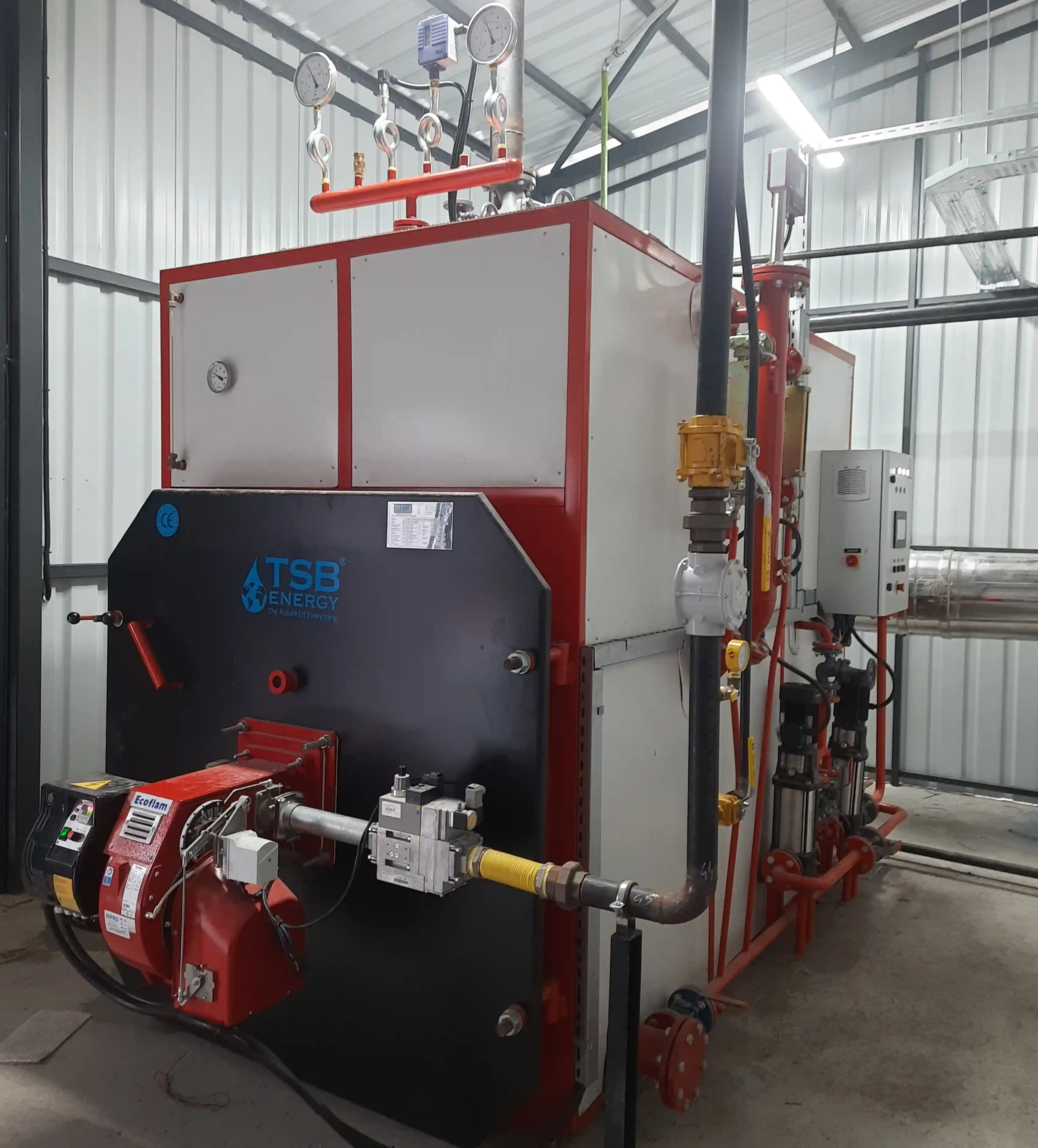 Smoke Tube Steam Generator - 9